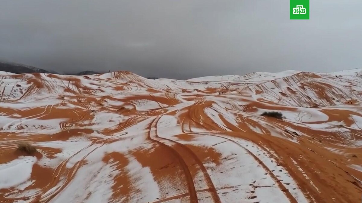    Кадр из видео: соцсети