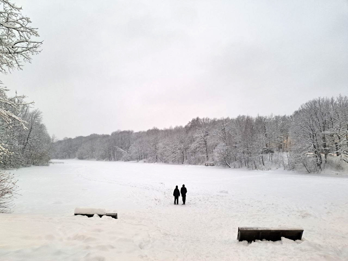 Перед посещением леса, пусть даже на короткое время, необходимо тщательно готовиться.  Фото: Федералпресс / Вера Романескул
