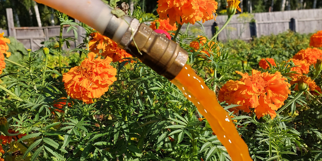 Чистая вода: а будет ли?