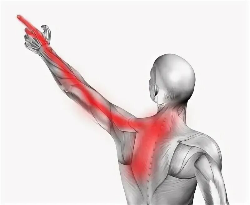 фото из открытого источника