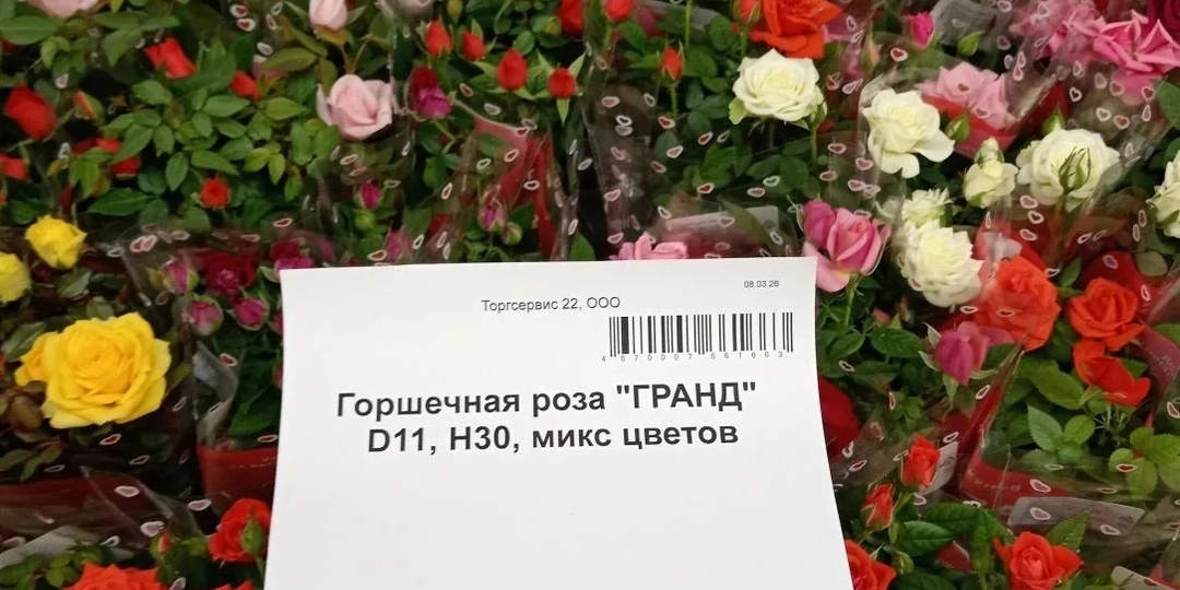 Что купить в магазине Светофор?