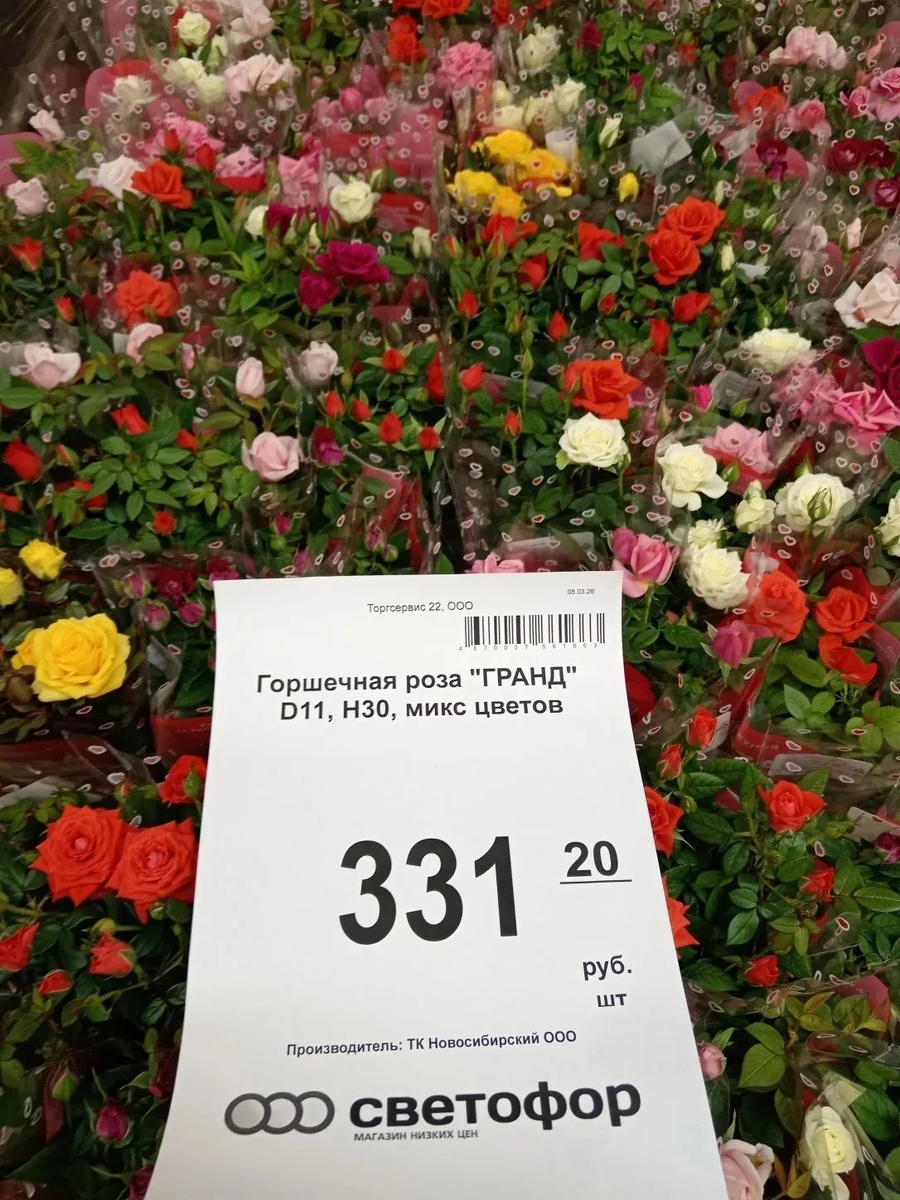 Фото из открытого источника 