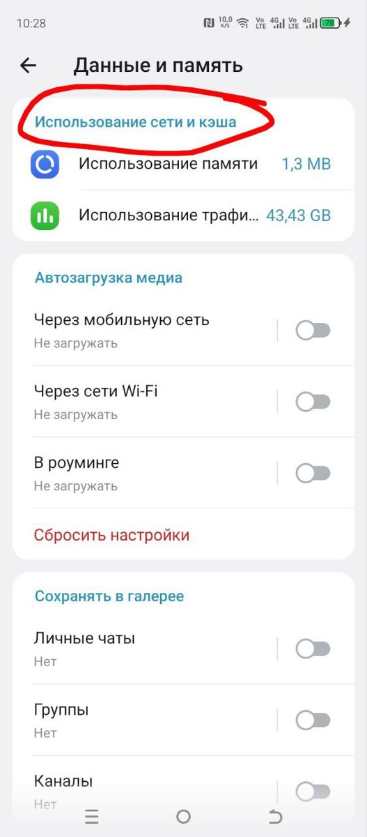 Фото автора.