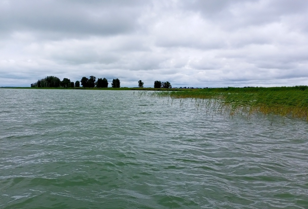    Фото Анны Сентяковой