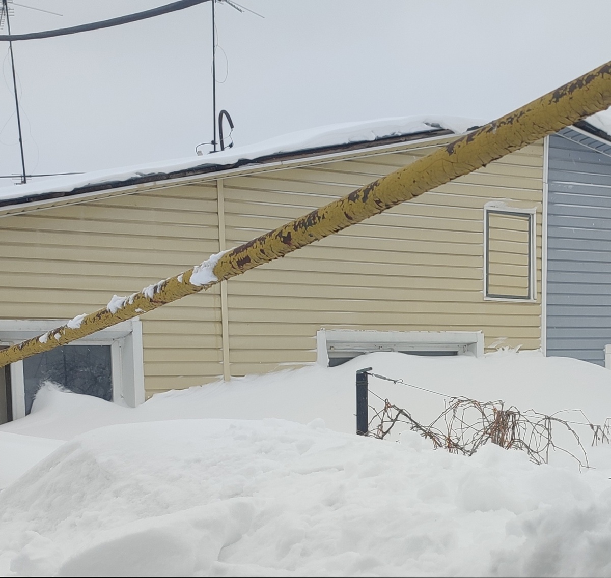 С другой стороны не лучше. Одно окно уже засыпало полностью, второе на 3/4. Свет приходится включать даже днём 🤷‍♀️