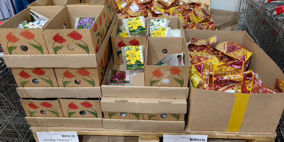 Вновь Светофор! Переключаемся с семян на посадочный материал))