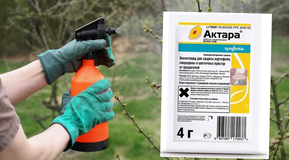 Многие неправильно используют Актару