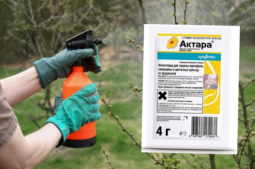 Авторский канал Урожайный сад и огород