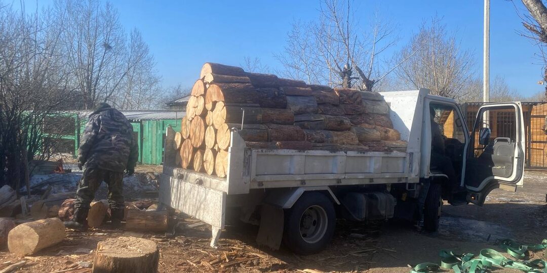 Коротко о главном.