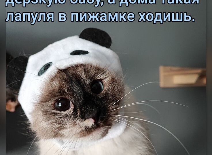 Забавные мемы