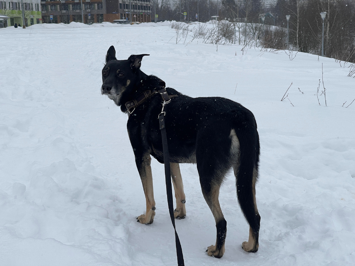 А пока попробуйте угадать, верю в приметы или нет. Или у нас есть свои собсвенные приметы?