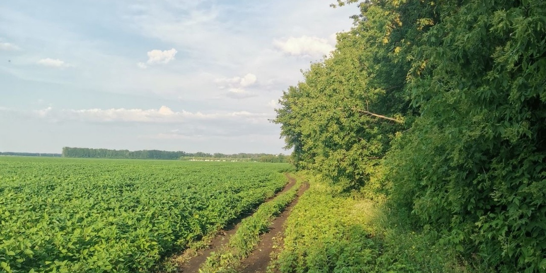 В двух районах Самарской области выявили нарушения при использовании пестицидов