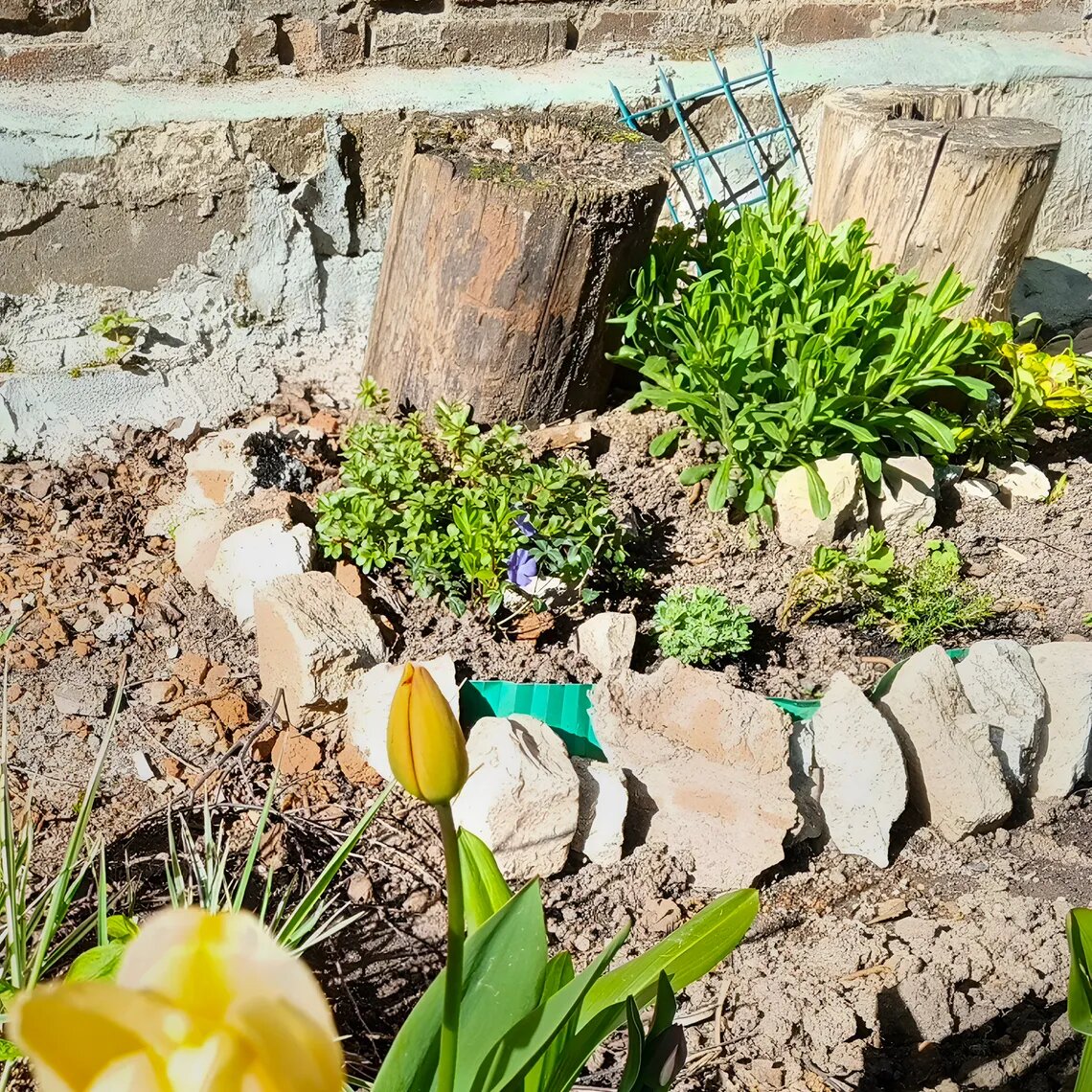 Так сначала выглядело пространство у дома