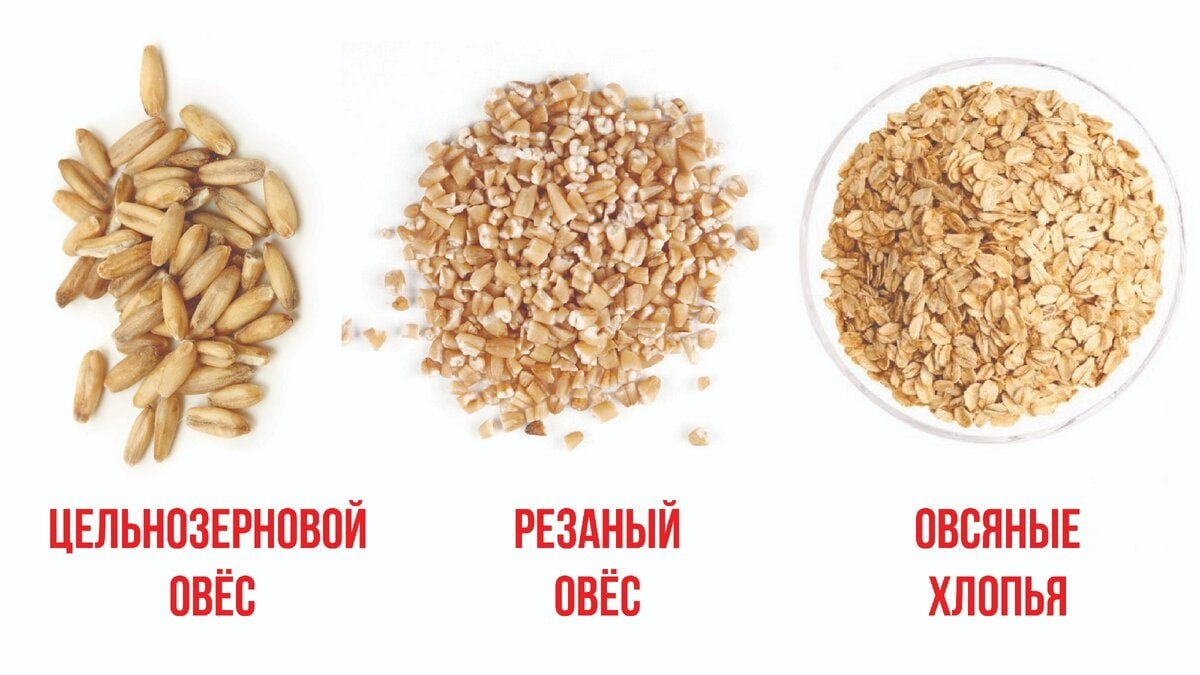 фото из открытого источника