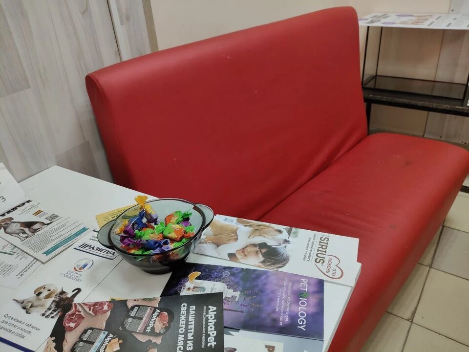 Мальчик приходит в ветклинику и жаловался на родителей
Фото: Наталья АРТЯКОВА.