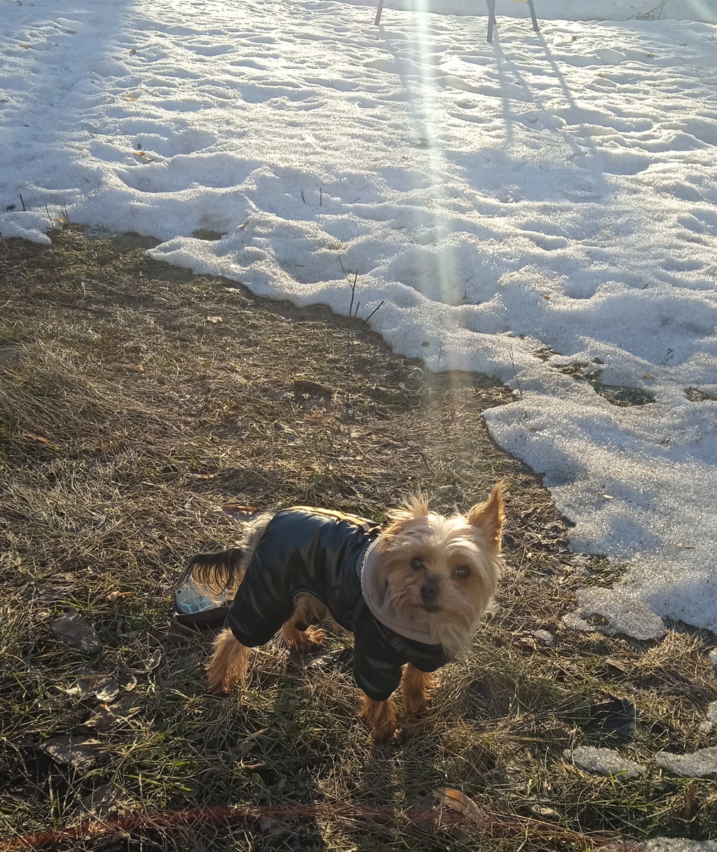 Все фото автора