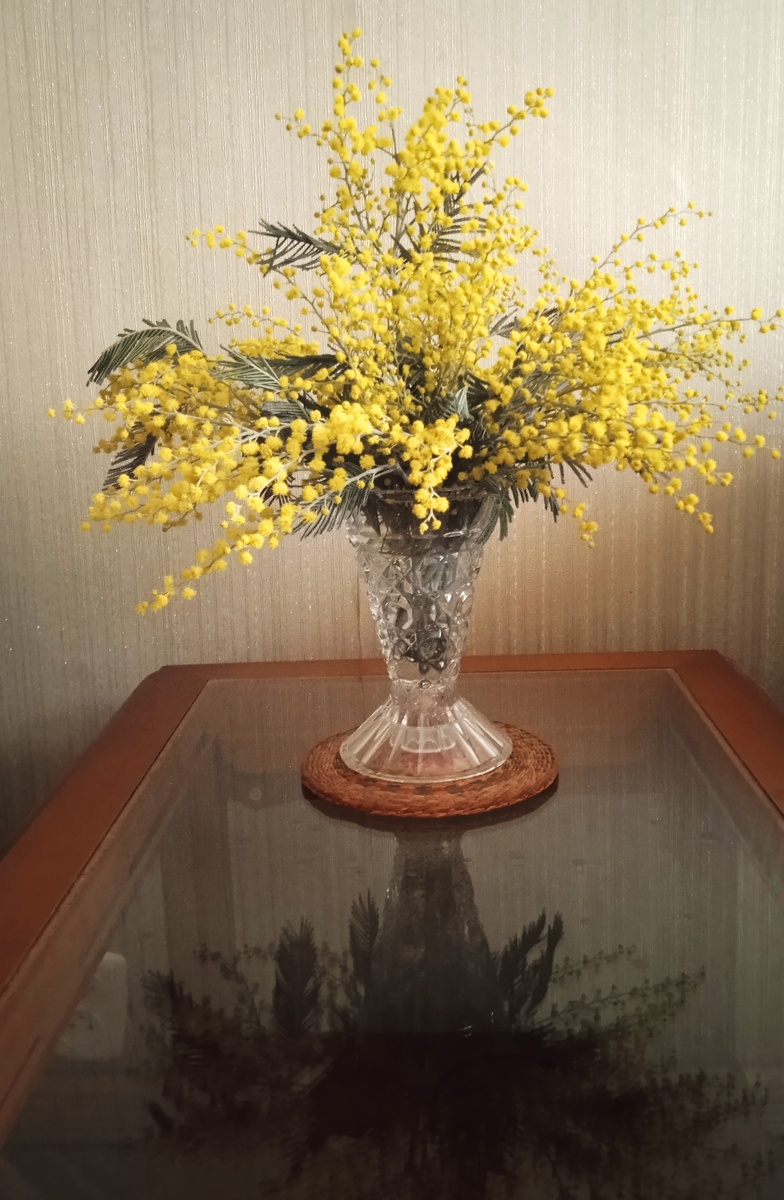 Мимоза к 8 марта