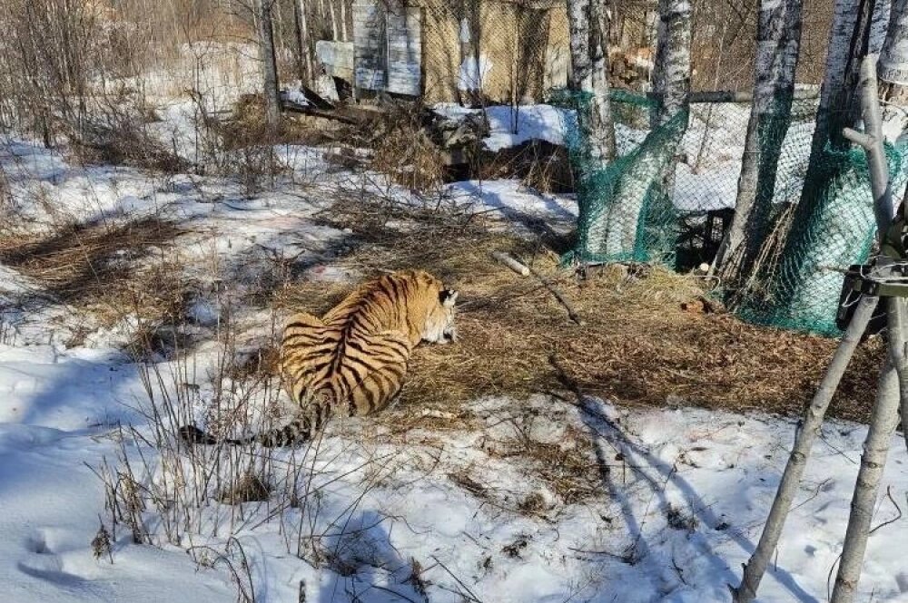    Фото: Правительство Приморского края