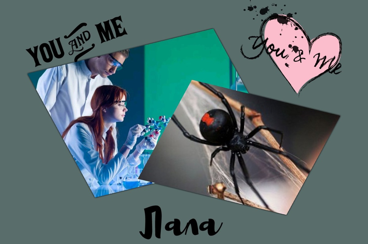 Коллаж от друзей, фото автора,2018г