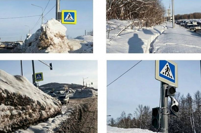 Арбитражный суд Камчатского края