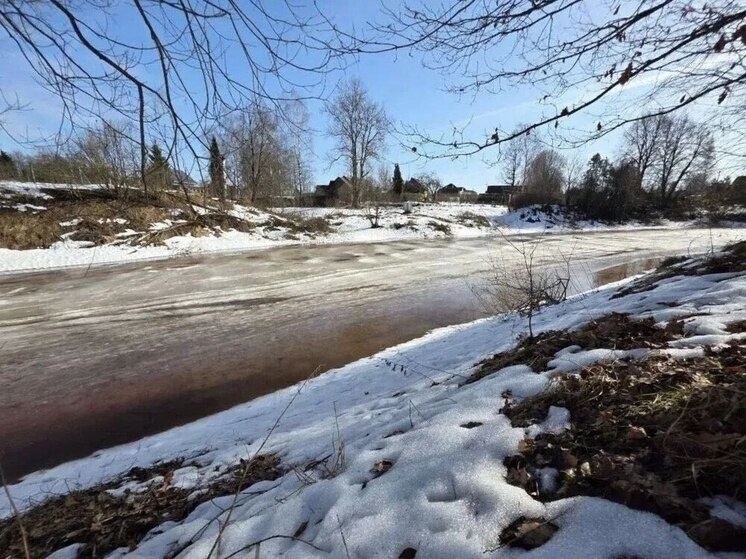     Фото: Пресс-служба администрации правительства Ленинградской области.