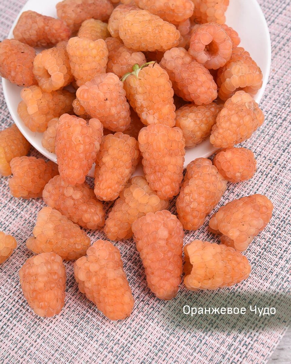 Малина Оранжевое чудо