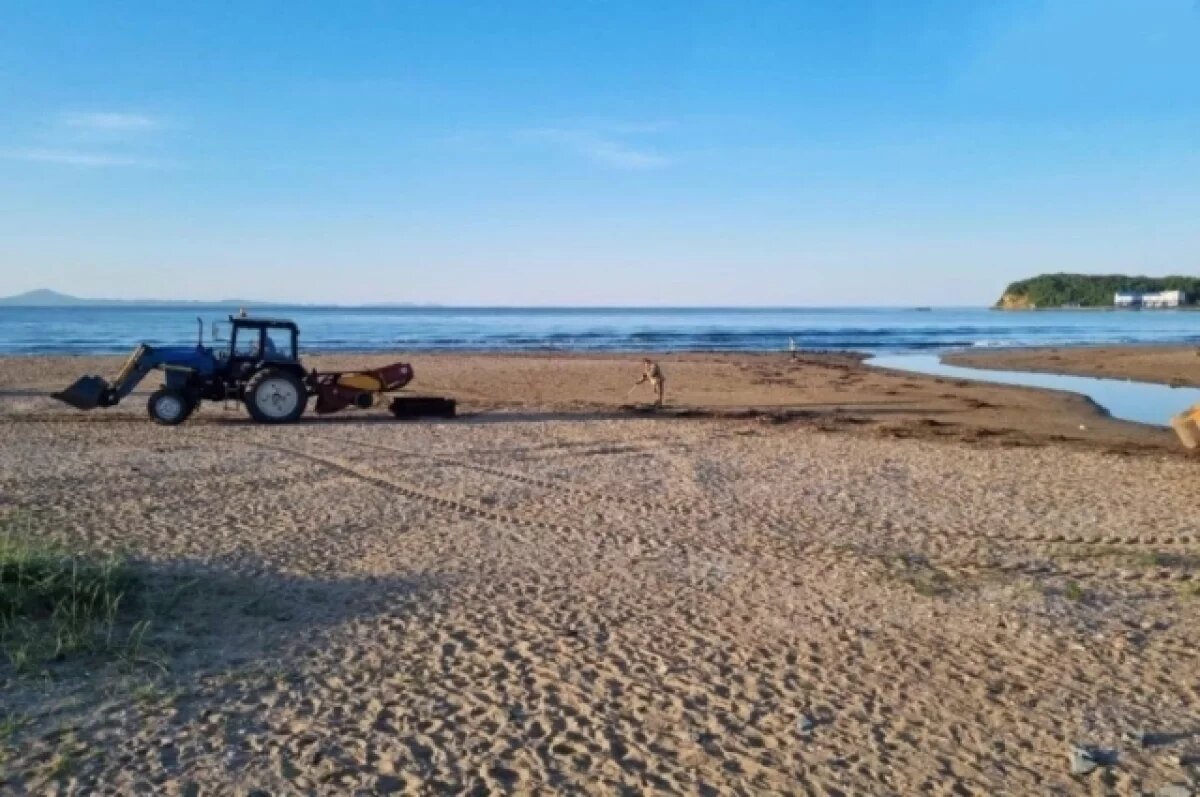    Волонтеры разберут и приготовят к вывозу отходы со свалки на Обской Губе
