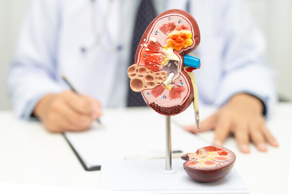 sasirin pamai/Shutterstock/FOTODOM   📷