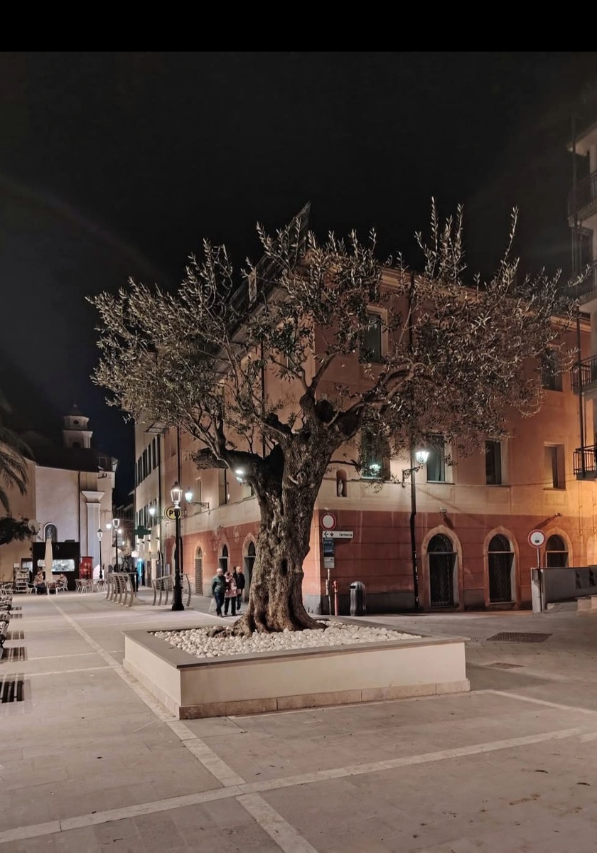 С другого ракурса, но та же самая площадь