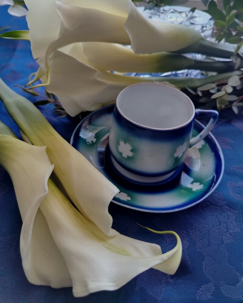 Кофейная пара Кузнецов. " Космея" 