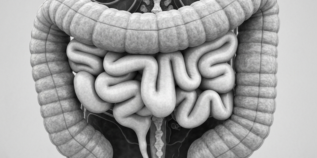 Псориаз и кишечник — возможная взаимосвязь