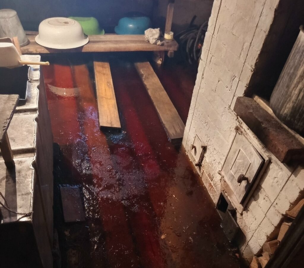    Фото: Шарья – столица мира