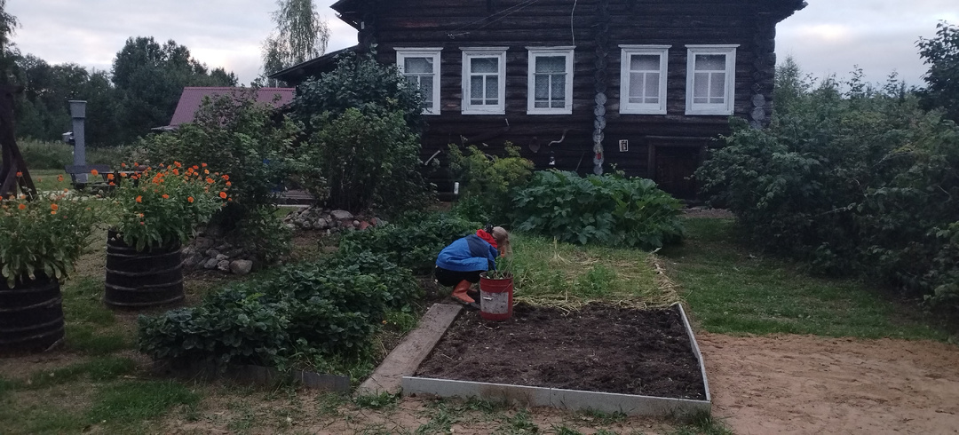 Зачем копаться в земле, если всё есть в магазине? Честный ответ того, кто ещё недавно так считал