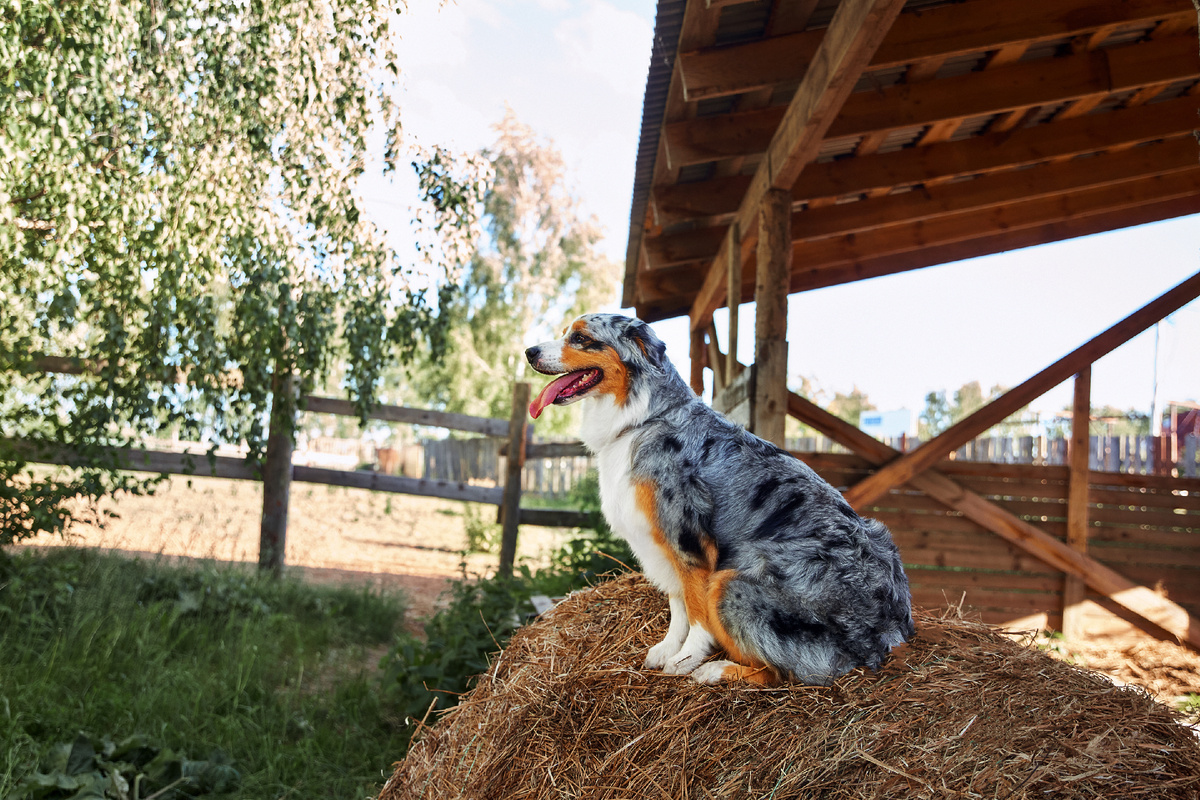 Хорошо сидит, далеко глядит