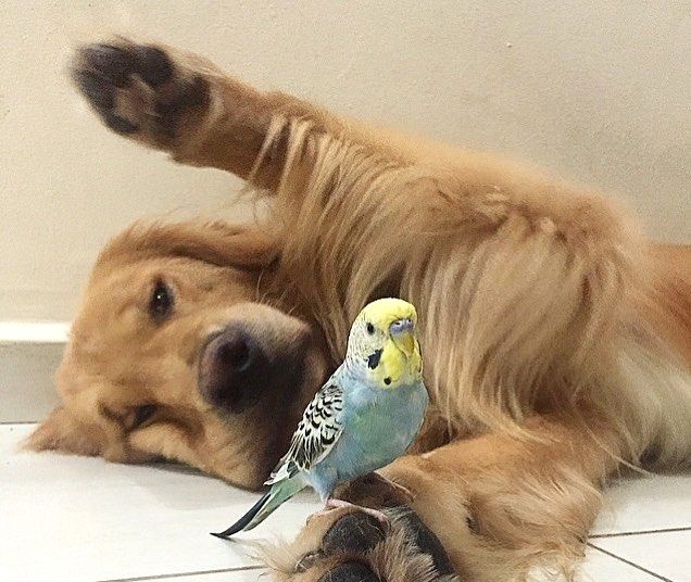 Давай подружимся! 