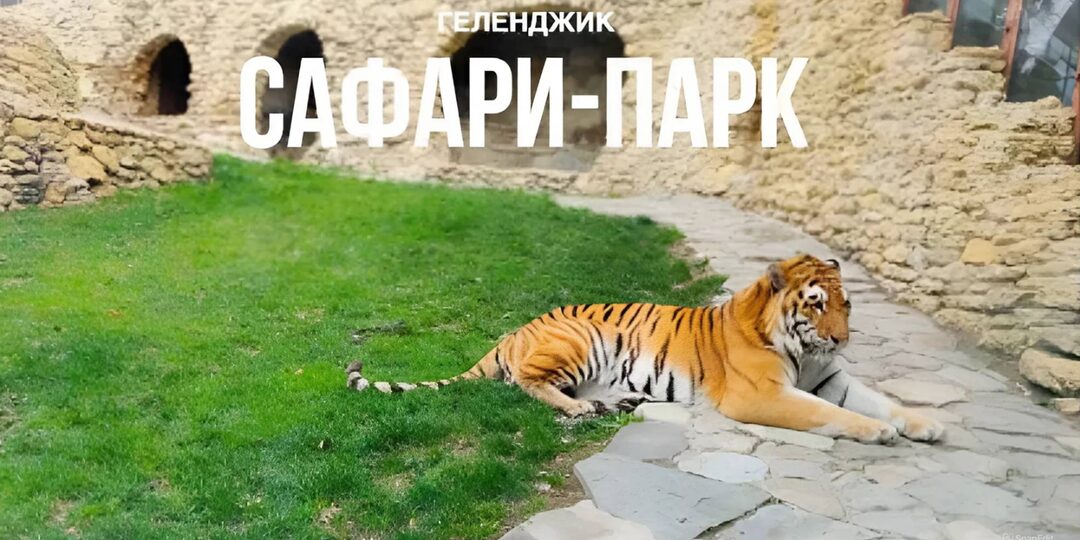 Сафари парк в Геленджике.