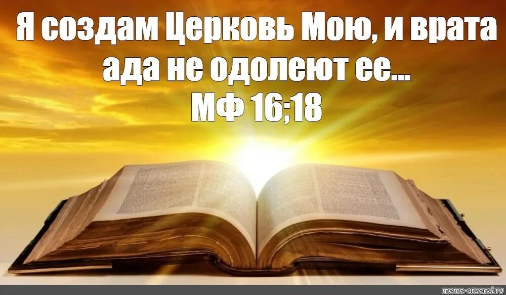 Из открытых источников Яндекса.