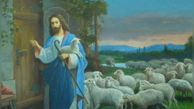 Из открытых источников Яндекса.