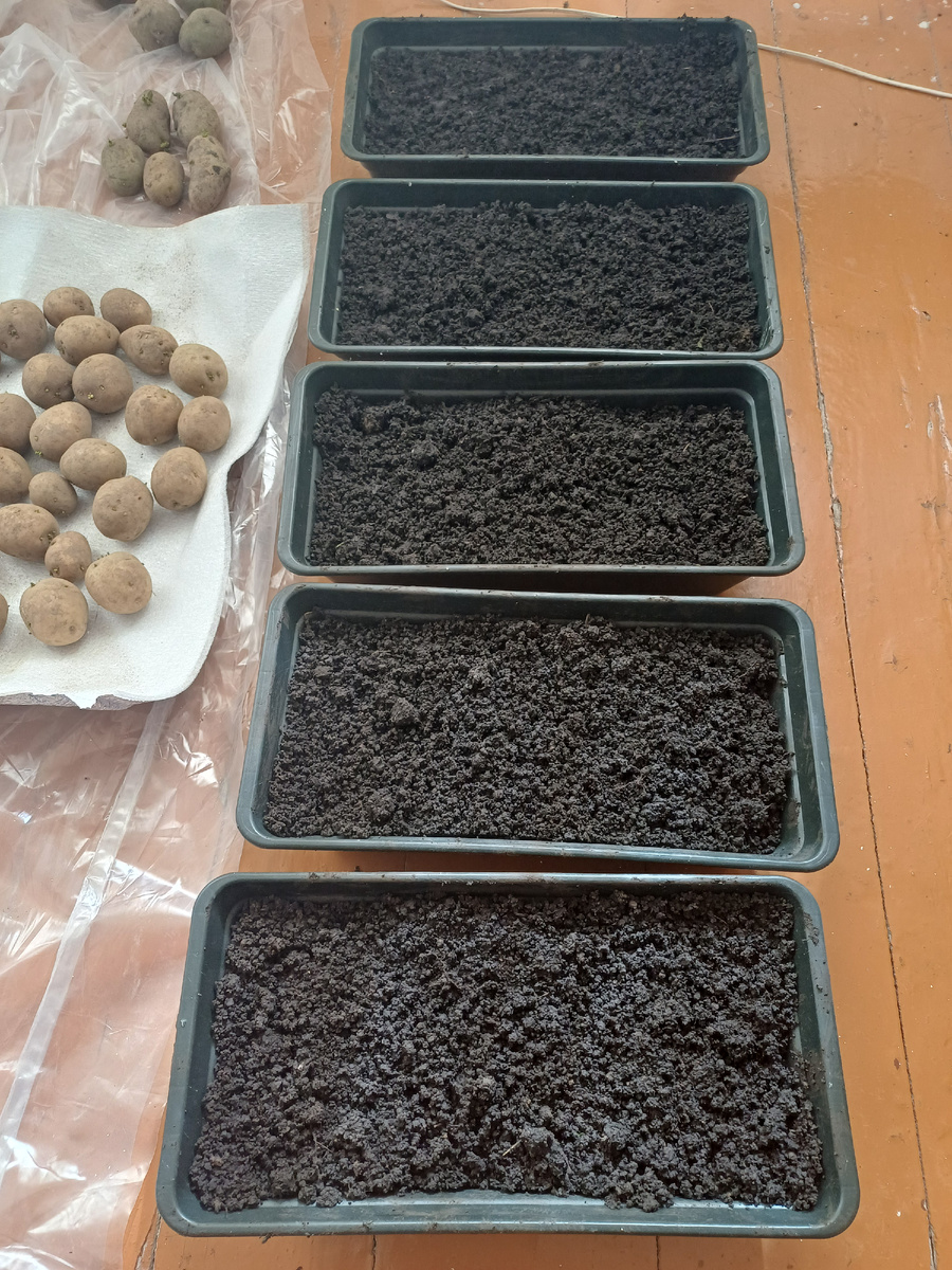 Земля готова была ещё 2 дня назад