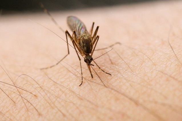    Фото: iStock Василий Шеин