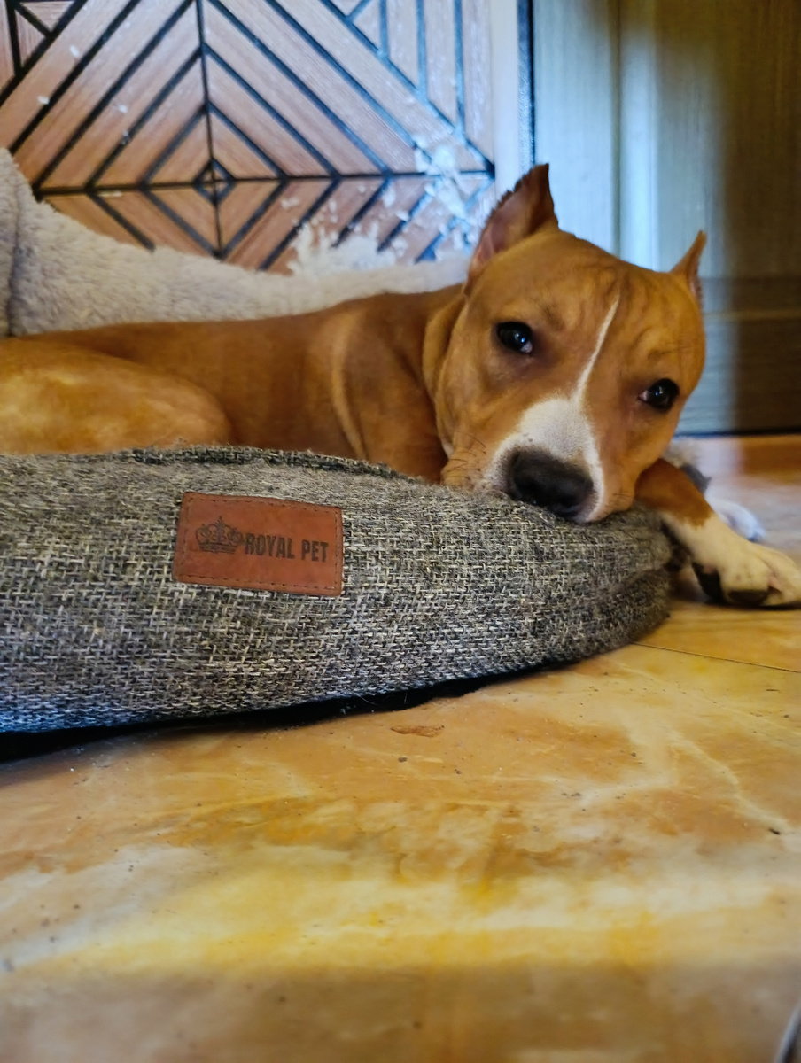 Ох уж эти несчастные глаза, когда родители идут на работу.. 