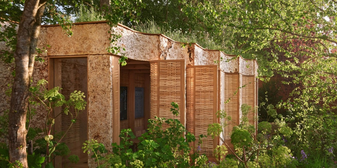 Биоматериалы в строительстве: конопляный бетон, грибные панели и доски, которые не гниют