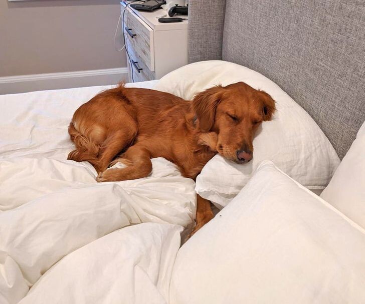 Режим «выключен из розетки» активирован. Не беспокоить до 2030 года