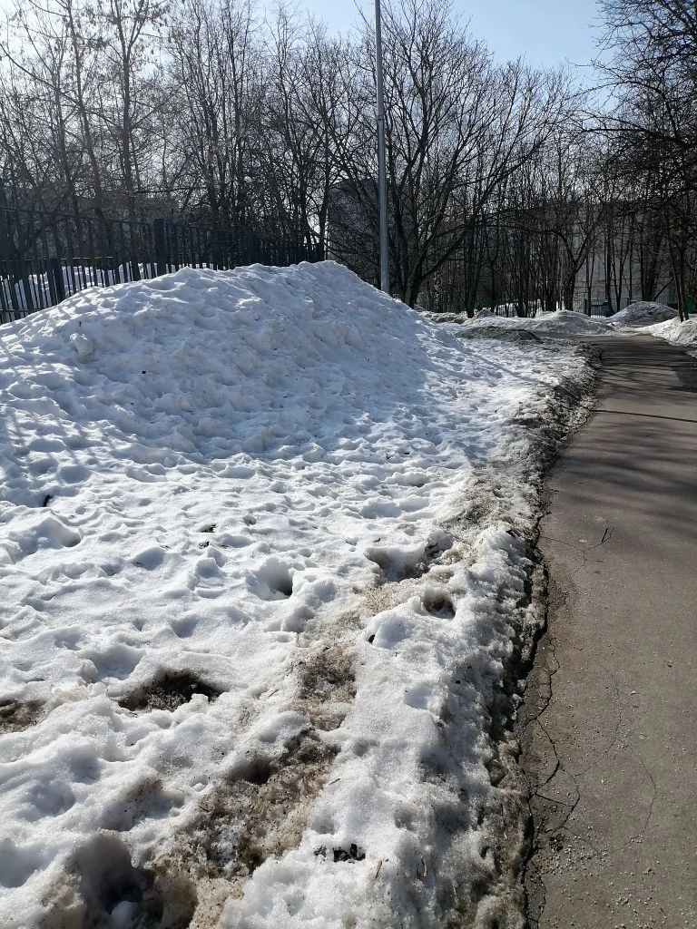 Снежная весна в Москве в самом разгаре.
