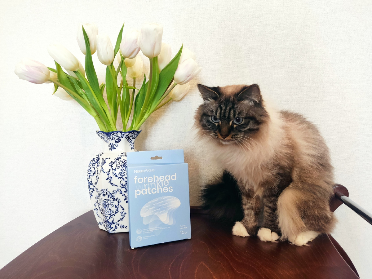 Голубая коробочка стала моей постоянной покупкой