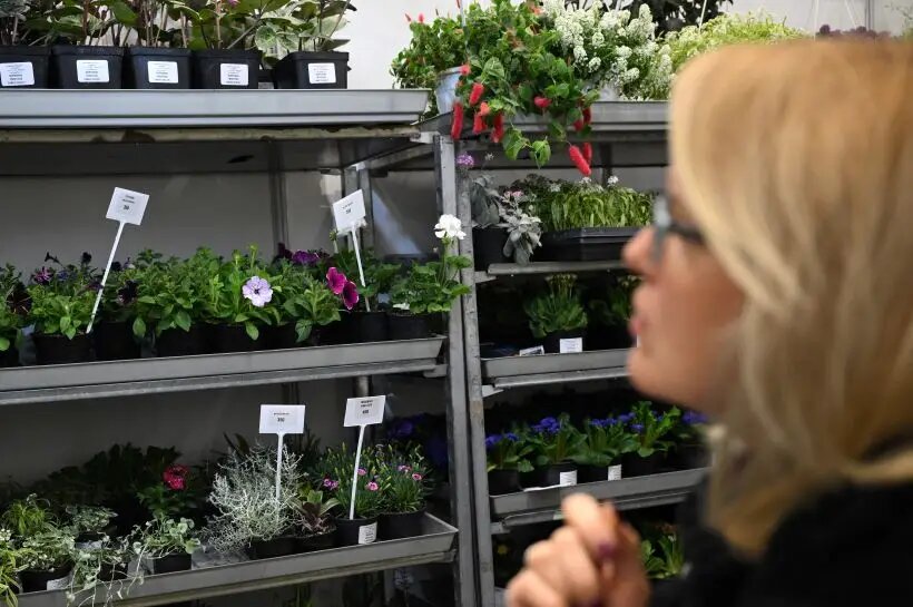     © РИА Новости. Кирилл Зыков