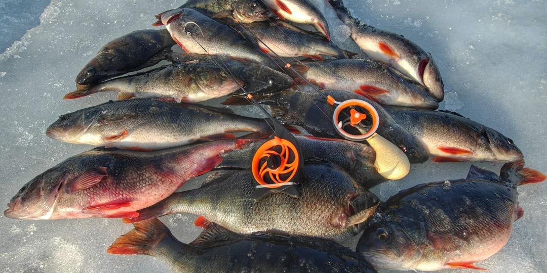 Мормышка, леска, ледобур