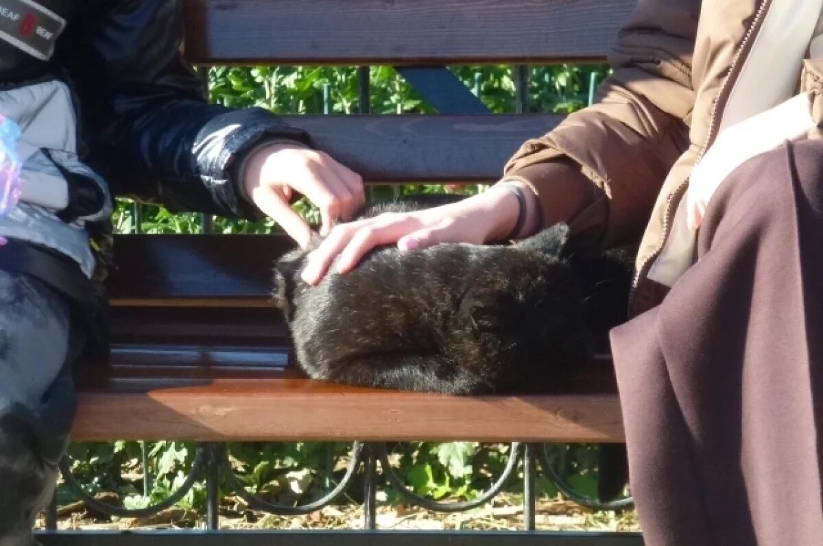    Без осадков и до +15 градусов ожидаются 13 марта в Крыму