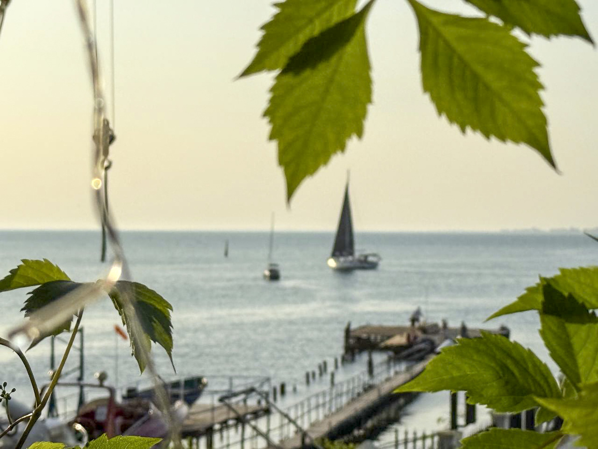 Туйара Тумусова успела поработать дизайнером украшений, няней для породистых щенков и сборщицей винограда.  Фото: Фото: ФедералПресс / Андрей Гусий