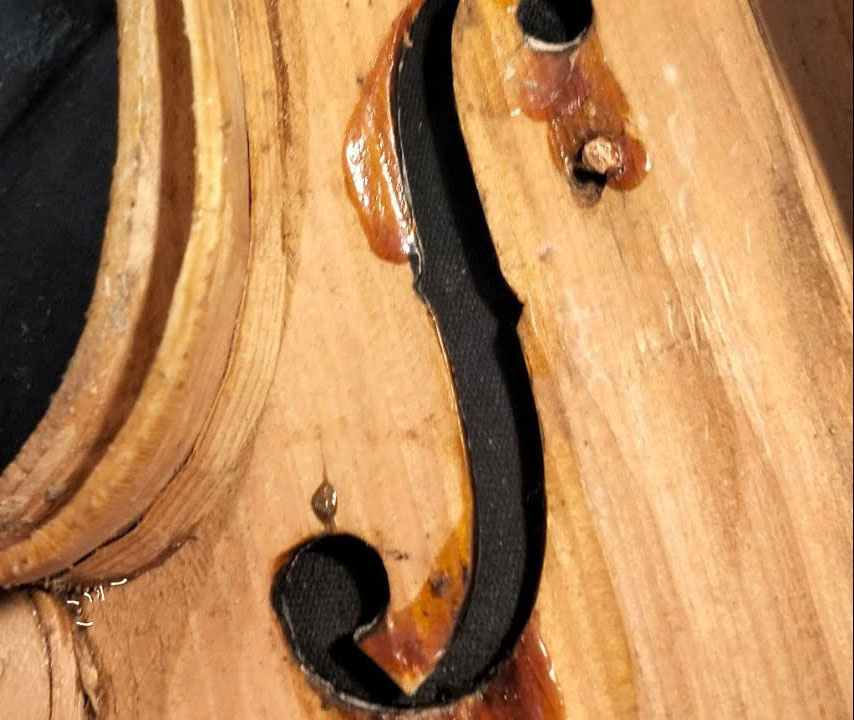 В левом нижнем углу можно разглядеть личинки музыкальных жучков. 